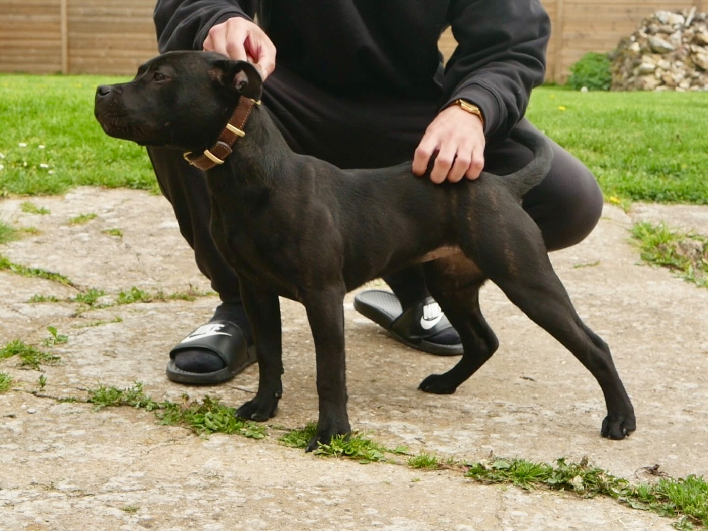Brindle Farm Anne Bonny